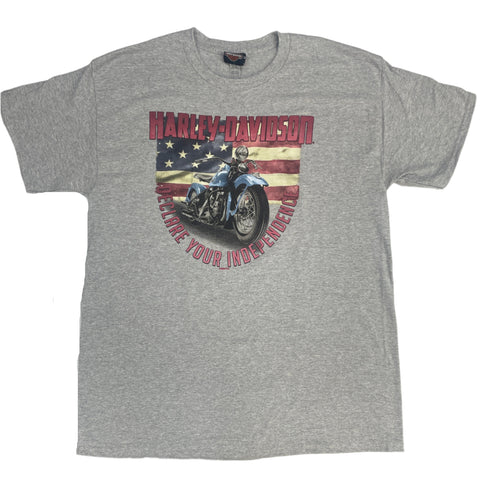 Buddy Stubbs Harley-Davidson Grey Manifest S/S Men's T-Shirt