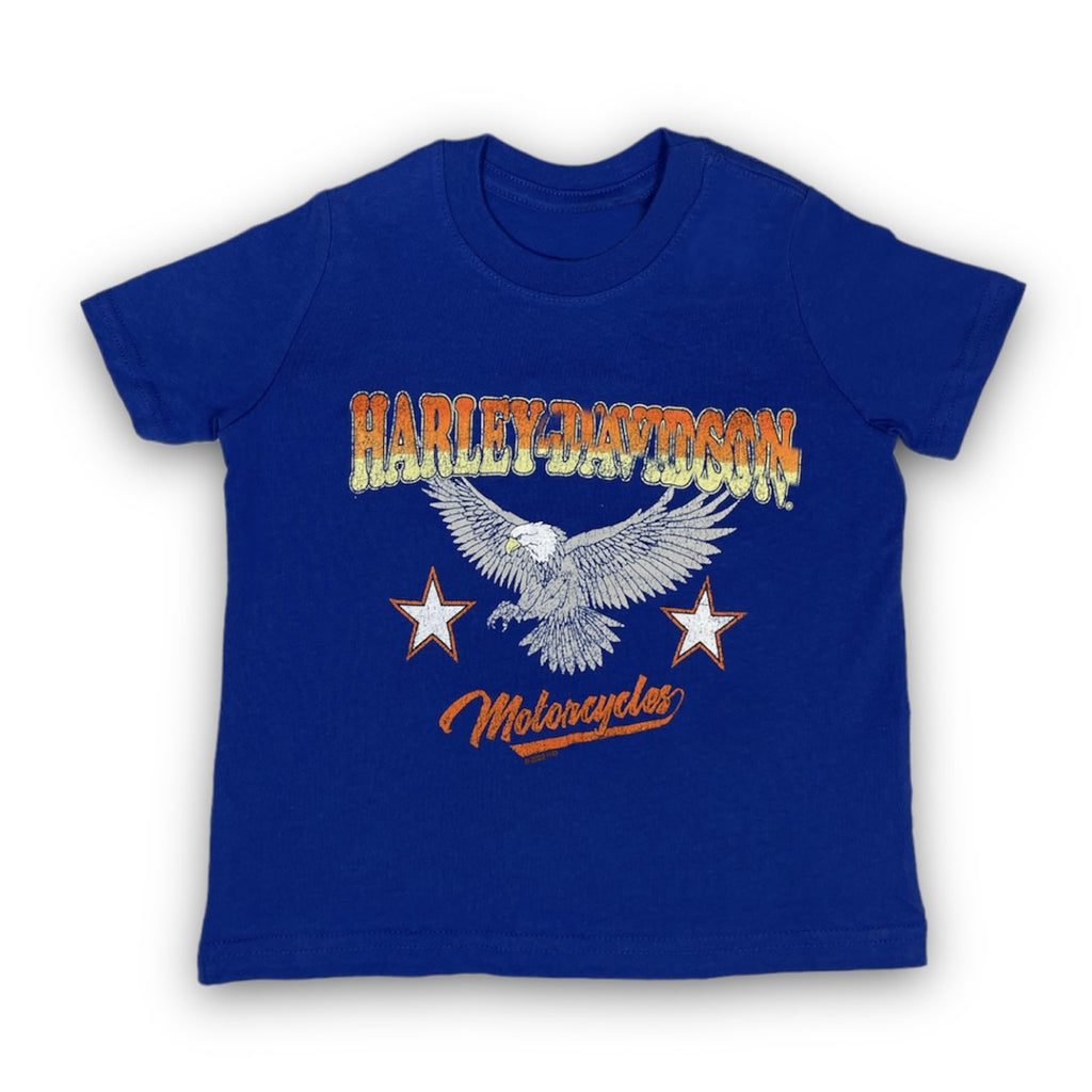 Harley-Davidson Boy's Grunge Eagle - T-Shirt - 402912150